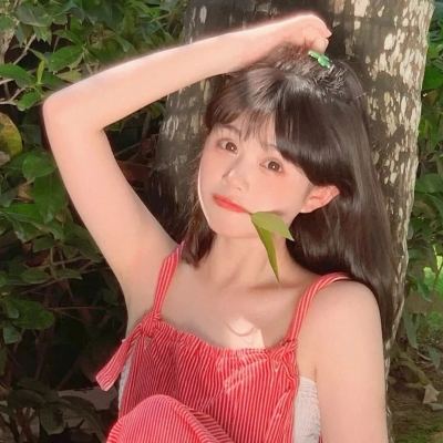 萌塔q传手游官方下载